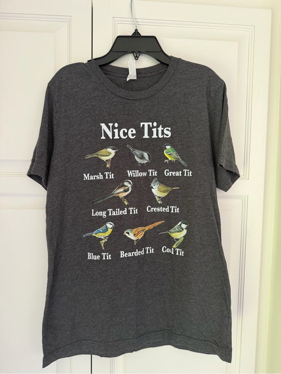 Bella Canvas Other - Bird 🐦 Lovers “Nice T*ts” Canvas Charcoal Gray Graphic Tee